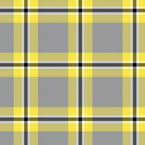 pantone 2021-plaid