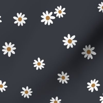 173-16 daisies