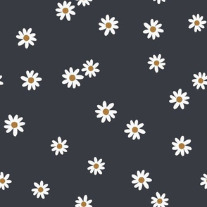 173-16 daisies