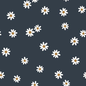 174-16 daisies