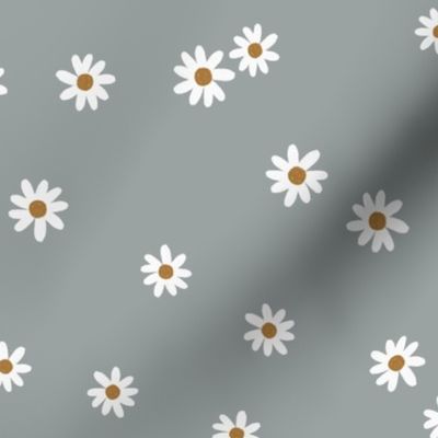 176-2 daisies