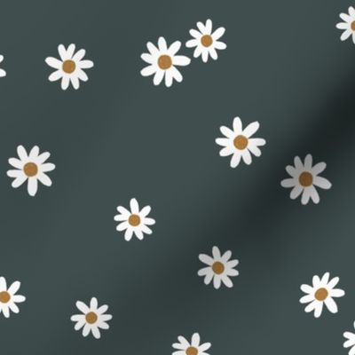 176-14 daisies