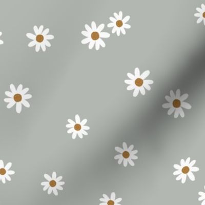 177-1 daisies