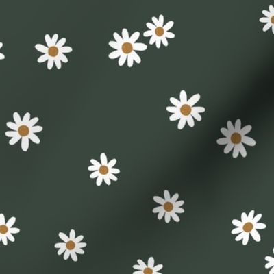 177-15 daisies