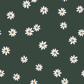 177-15 daisies