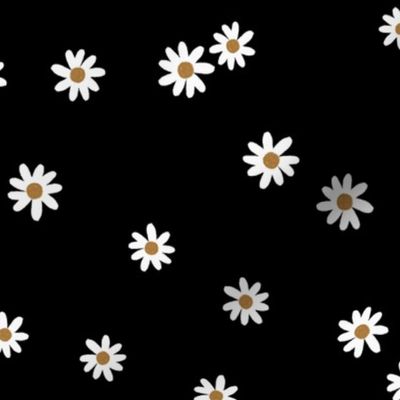 black daisies