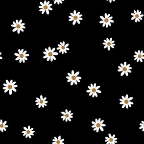 black daisies