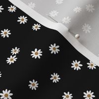 small black daisies