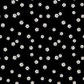 small black daisies