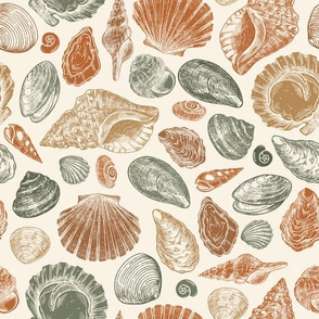 Warm color seashells