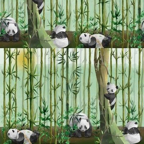 Pandas’ Evening in the Bamboo Forest