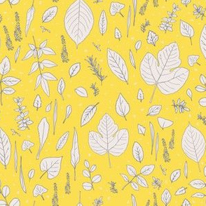 Illustrated Leaves, Yellow