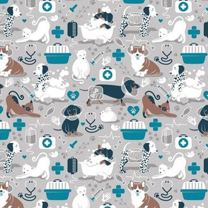 Tiny scale // VET medicine happy and healthy friends // grey background turquoise details navy blue white and brown cats dogs and other animals