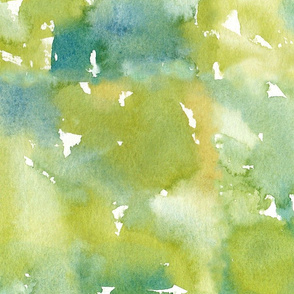 Watercolor Citrus