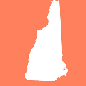 New Hampshire silhouette, 14x18" blocks, white on coral
