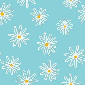 White chamomile flowers on blue