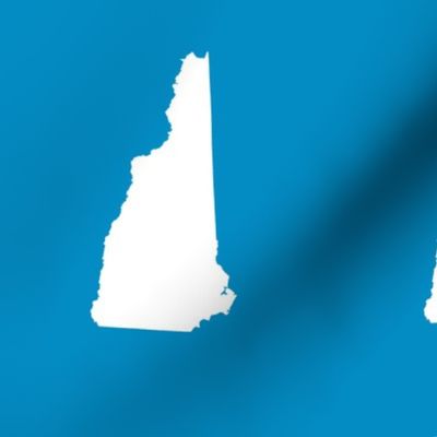 New Hampshire silhouette, 6x9" blocks, white on bright blue