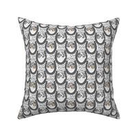 Small Blue Merle Parti Pomeranian horseshoe portraits