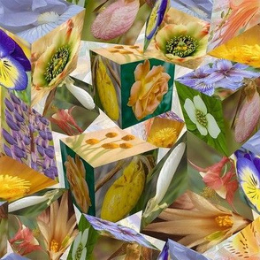 floral photo cubes