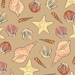 seashells 