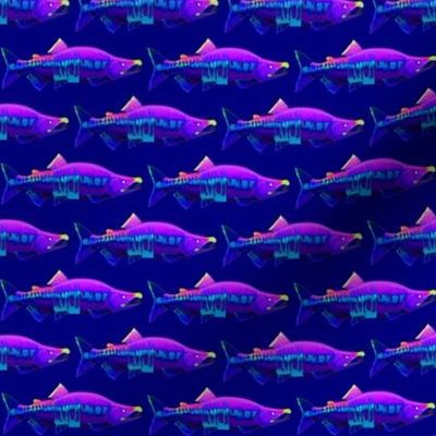 Chum Salmon in purple rock'n roll colors