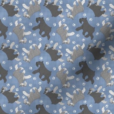 Tiny Trotting Miniature Schnauzers and paw prints - faux denim