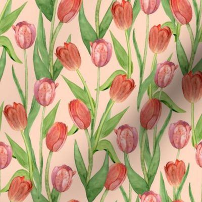 tulips peach (small scale)