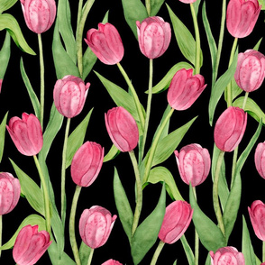 tulips on black (large scale)