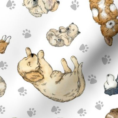 Sleeping Puppies Pattern-medium size