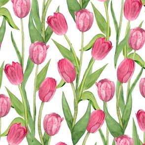 pink tulips (large scale)