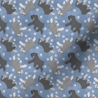 Tiny Trotting uncropped Miniature Schnauzers and paw prints - faux denim
