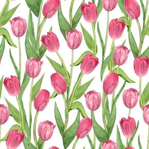 pink tulips (small scale)