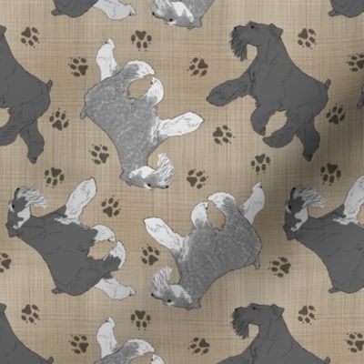 Trotting uncropped Miniature Schnauzers and paw prints - faux linen