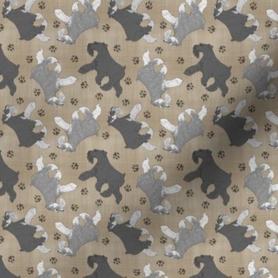 Tiny Trotting uncropped Miniature Schnauzers and paw prints - faux linen