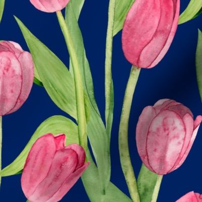 tulips on dark blue (large scale)