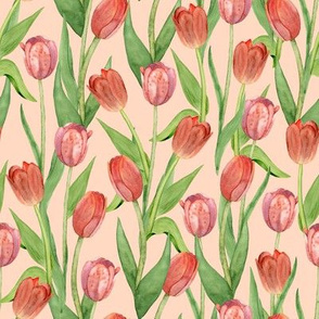 tulips peach (small scale)