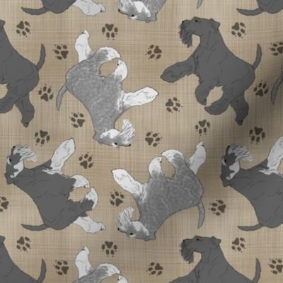 Trotting natural Miniature Schnauzers and paw prints - faux linen