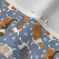 Tiny Trotting tailed Pembroke Welsh Corgis and paw prints - faux denim