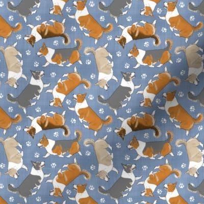 Tiny Trotting tailed Pembroke Welsh Corgis and paw prints - faux denim