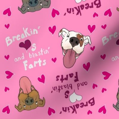 Breaking Hearts and Blasting Farts Pit Bull