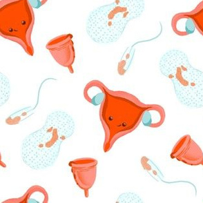 menstruation uterus