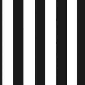 Straight vertical ,black and white stripes,lines