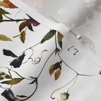 Autumn roses and wild garden florals and leaves, white