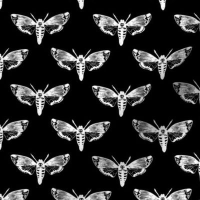 Death's Head Hawkmoth White on Black 1/2 Size