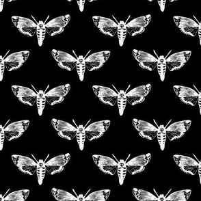 Death's Head Hawkmoth White on Black 1/2 Size