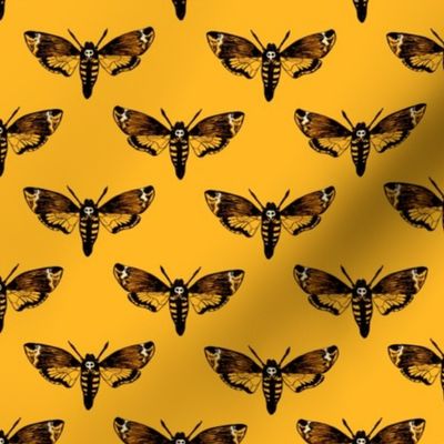  Death's Head Hawkmoth on Yellow 1/2 Size