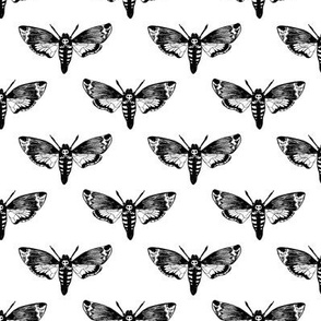 Death's Head Hawkmoth Black on White 1/2 Size