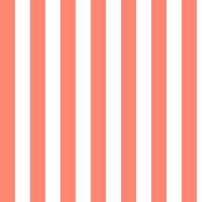 Coral Awning Stripe Pattern Vertical in White