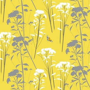 eupatorium flowers - yellow-gray