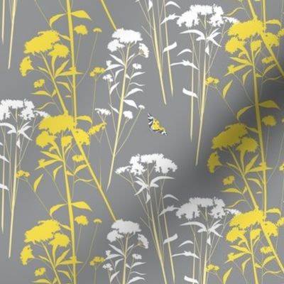 eupatorium flowers - gray-yellow